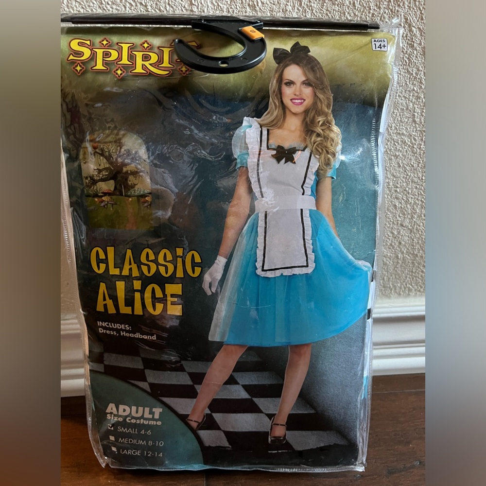 Alice and wonderland costume